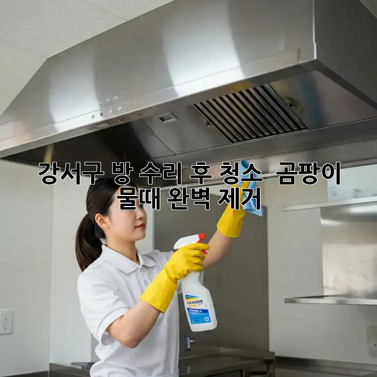 강서구 방 수리 후 청소 ✨ 곰팡이 물때 완벽 제거! 강서구 방 수리 후 청소 ✨ 곰팡이 물때 완벽 제거!