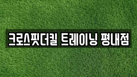 크로스핏더킬 트레이닝 평내점