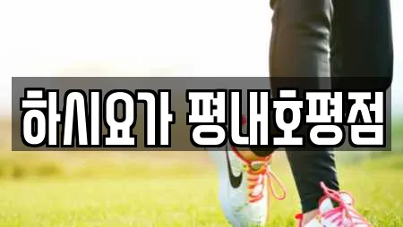 하시요가 평내호평점