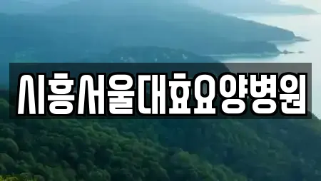 시흥서울대효요양병원