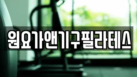 원요가앤기구필라테스