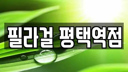 필라걸 평택역점