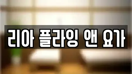 리아 플라잉 앤 요가