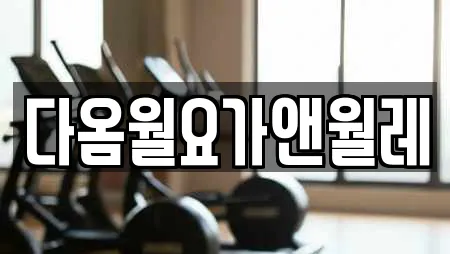 다옴월요가앤월레