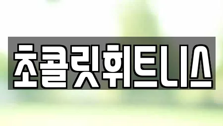 초콜릿휘트니스