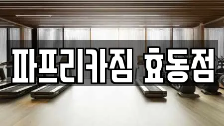 파프리카짐 효동점