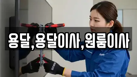 대전광역시 유성구 덕명동 용달이사 컬렉션 16곳