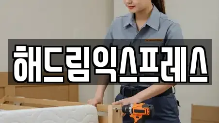 해드림익스프레스