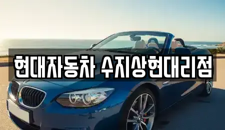 자동차전시장 업체 가이드 12곳 (신봉동)