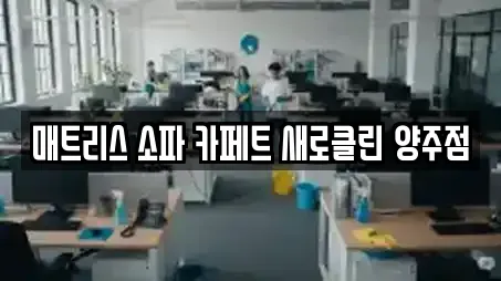 매트리스 소파 카페트 새로클린 양주점
