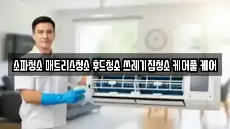 소파청소 매트리스청소 후드청소 쓰레기집청소 케어풀 케어