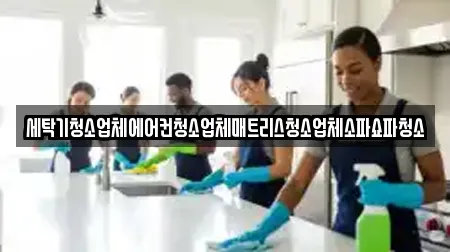 세탁기청소업체에어컨청소업체매트리스청소업체소파쇼파청소