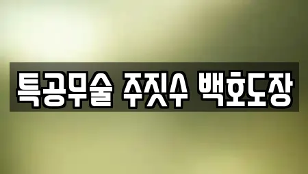 특공무술 주짓수 백호도장