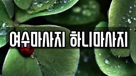 여수마사지 하니마사지