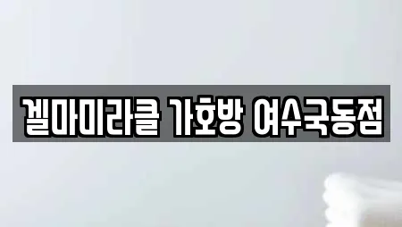 겔마미라클 가호방 여수국동점