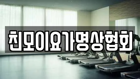 친모이요가명상협회