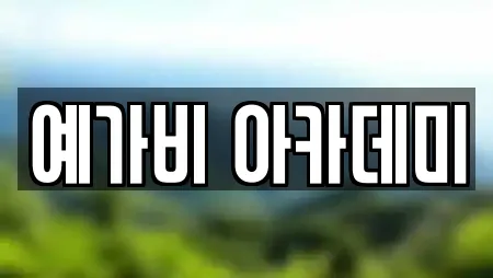 예가비 아카데미