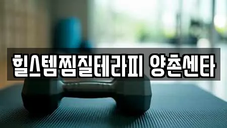 충청남도 벌곡면 스파,사우나,찜질방,수영장,마사지 11 업체