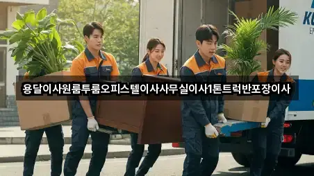 핵심만 보기: 춘천 소양로1가 용달이사 5곳