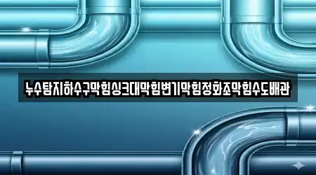 누수탐지하수구막힘싱크대막힘변기막힘정화조막힘수도배관