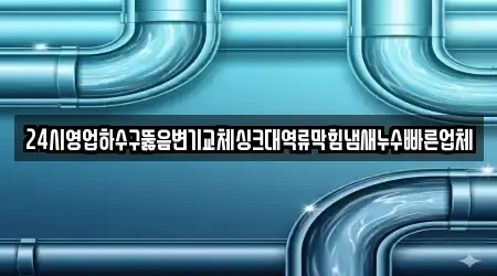 24시영업하수구뚫음변기교체싱크대역류막힘냄새누수빠른업체