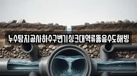 누수탐지공사하수구변기싱크대역류뚫음수도해빙