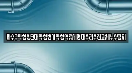 하수구막힘싱크대막힘변기막힘역류세면대수리수전교체누수탐지