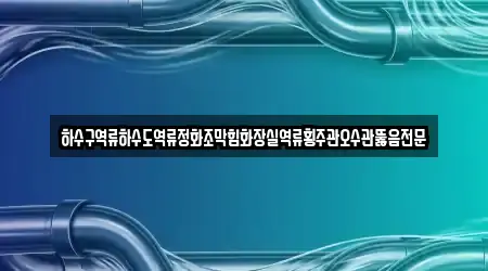 하수구역류하수도역류정화조막힘화장실역류횡주관오수관뚫음전문