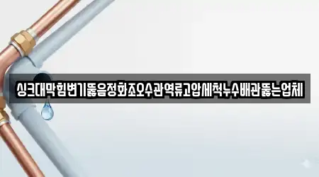 8개 변기뚫음 경기도 남양주 다산동 주소 8개 변기뚫음 경기도 남양주 다산동 주소