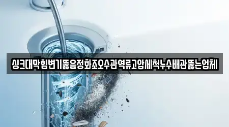 싱크대막힘변기뚫음정화조오수관역류고압세척누수배관뚫는업체