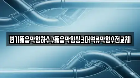 변기뚫음막힘하수구뚫음막힘싱크대역류막힘수전교체