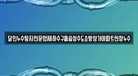 달인누수탐지전문업체하수구뚫음상수도소방상가아파트천장누수