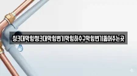 싱크대막힘씽크대막힘변기막힘하수구막힘변기뚫어주는곳