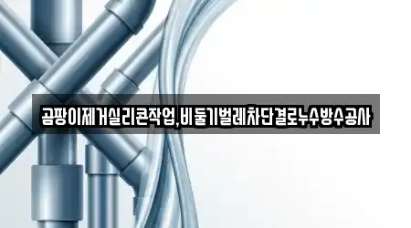 곰팡이제거실리콘작업,비둘기벌레차단결로누수방수공사