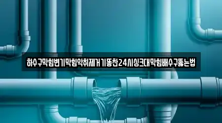 하수구막힘변기막힘악취제거기똥찬24시싱크대막힘배수구뚫는법