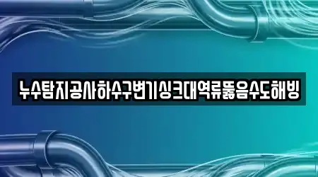 누수탐지공사하수구변기싱크대역류뚫음수도해빙