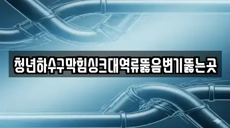 청년하수구막힘싱크대역류뚫음변기뚫는곳