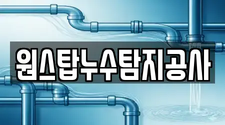 원스탑누수탐지공사