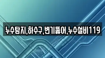 누수탐지,하수구,변기뚫어,누수설비119