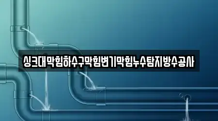 싱크대막힘하수구막힘변기막힘누수탐지방수공사