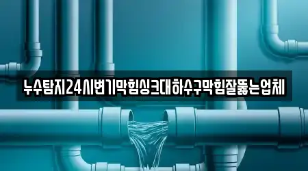 누수탐지24시변기막힘싱크대하수구막힘잘뚫는업체