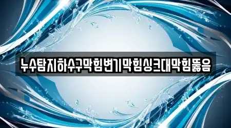 누수탐지하수구막힘변기막힘싱크대막힘뚫음