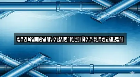 집수리욕실배관공사누수탐지변기싱크대하수구막힘수전교체고압세