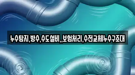 누수탐지,방수,수도설비,,보험처리,수전교체누수구조대