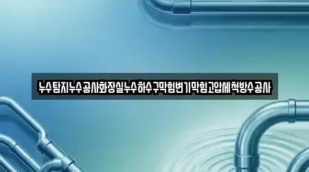 누수탐지누수공사화장실누수하수구막힘변기막힘고압세척방수공사