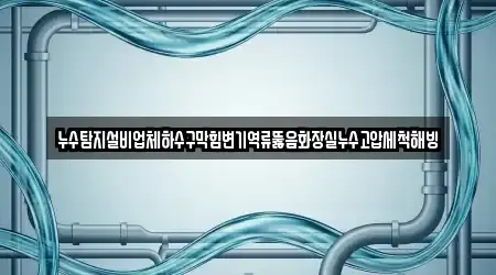 누수탐지설비업체하수구막힘변기역류뚫음화장실누수고압세척해빙