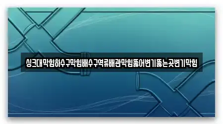 싱크대막힘하수구막힘배수구역류배관막힘뚫어변기뚫는곳변기막힘