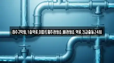 하수구막힘,1층역류,아파트횡주관청소,배관청소,역류,긴급출동24시