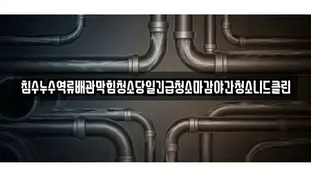 침수누수역류배관막힘청소당일긴급청소마감야간청소니드클린