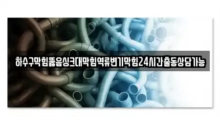 하수구막힘뚫음싱크대막힘역류변기막힘24시간출동상담가능